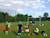 Dagens trening på Voldshagan - G09